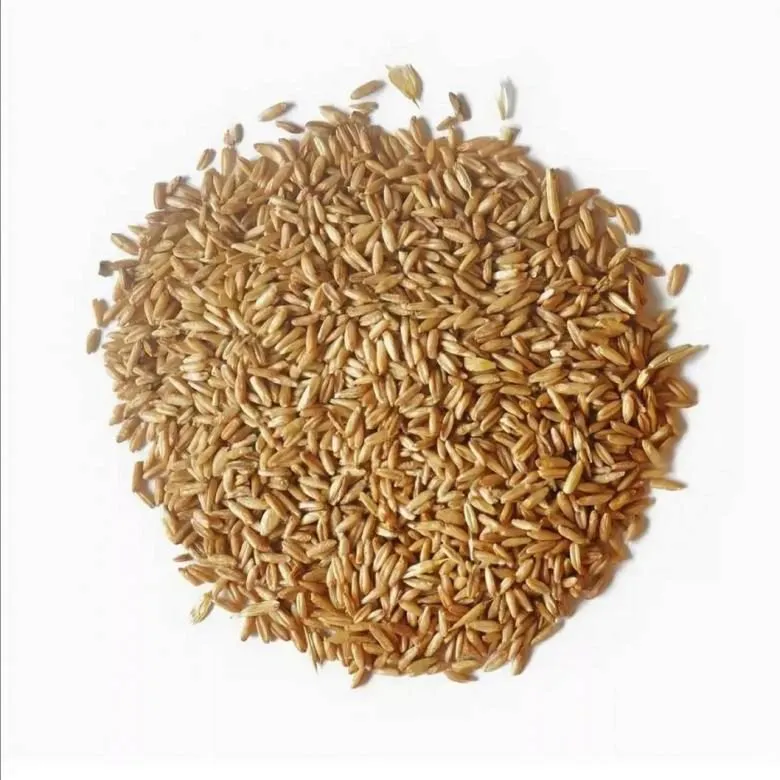 фотография продукта Семена овес голозерный Вятский от 30 руб