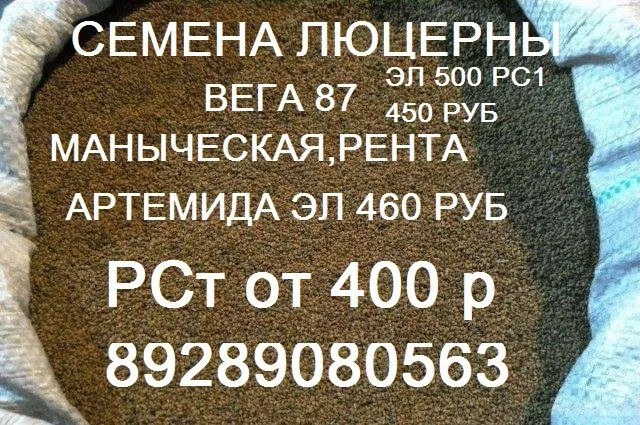 Фотография продукта Семена люцерна  маныческая вега87  350