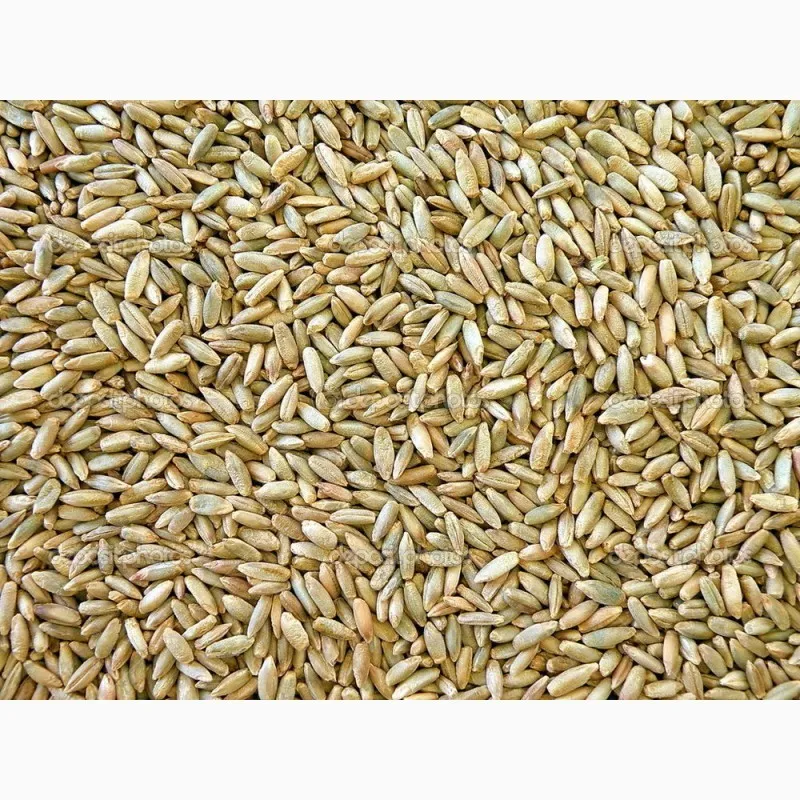Фотография продукта Пшеница от КФХ.