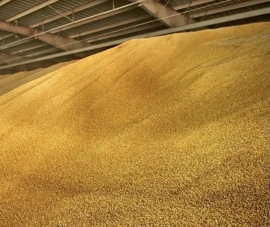 фотография продукта ХПП закупает пшеницу 3,4,5 класс, ячмень