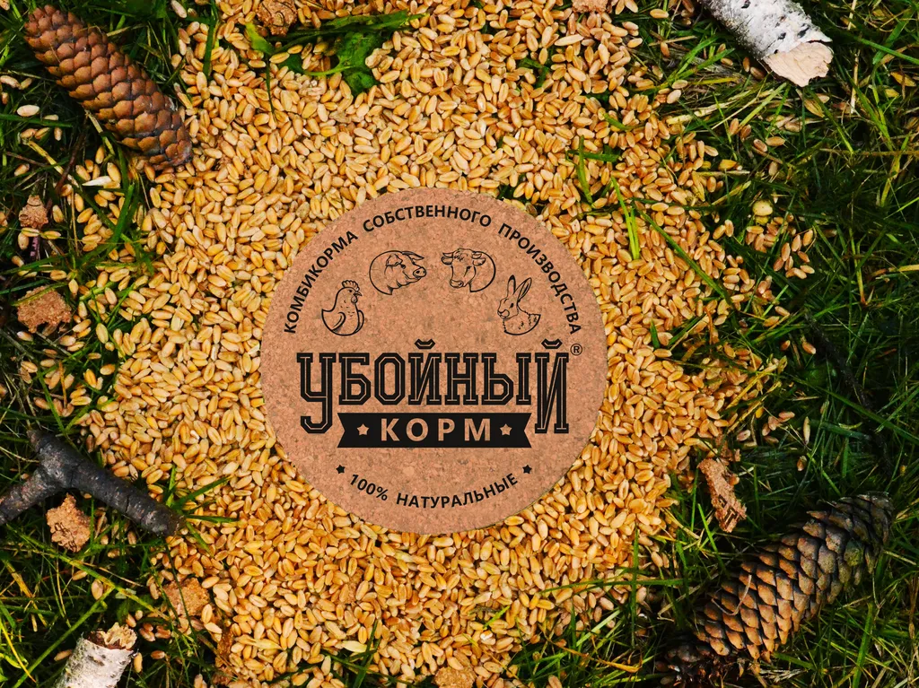 фотография продукта Пшеница кормовая и продовольственная 
