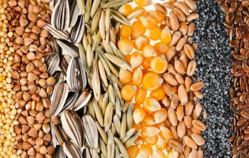 фотография продукта Закупаем пшеницу фуражную влажную ячмень