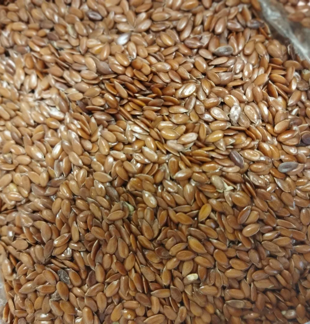 фотография продукта Семена льна масличного сорт Северный