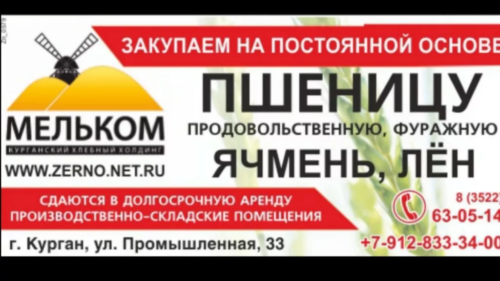 фотография продукта Закупаем пшеницу 13000 руб. тн.