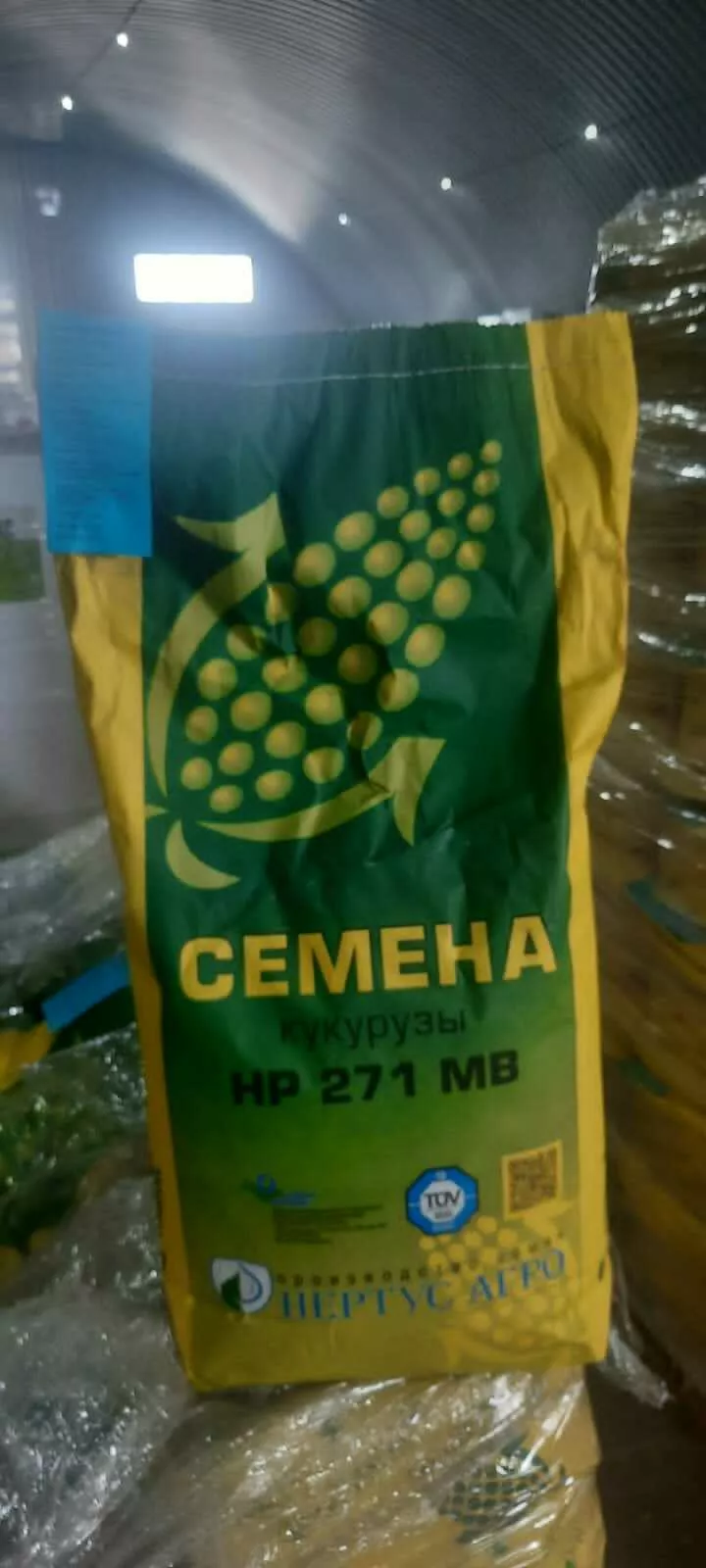 фотография продукта Семена гибридов кукурузы