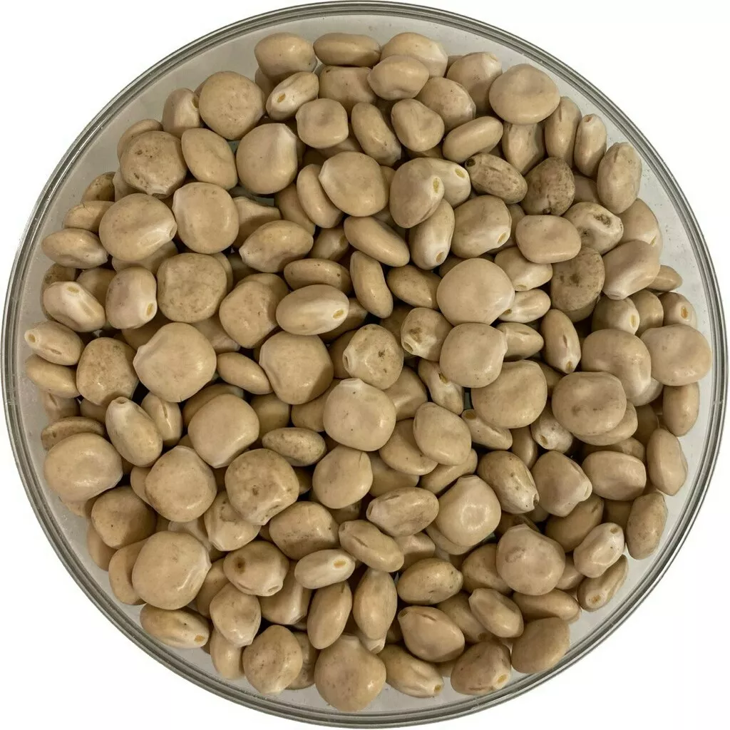 Фотография продукта Люпин мичуринский семена