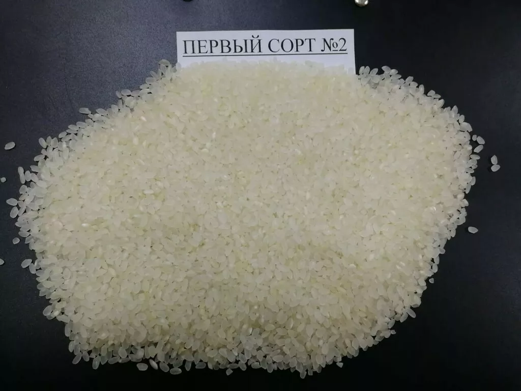 фотография продукта Приморский рис, китайской селекции оптом
