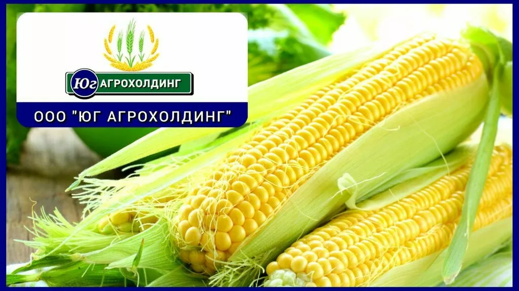 фотография продукта Кукуруза