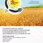 озимую пшеницу эмиль (немецкая селекция) в Республике Беларусь 2