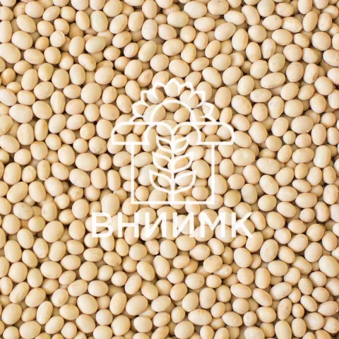 фотография продукта Семена сои вниимк сорт парус