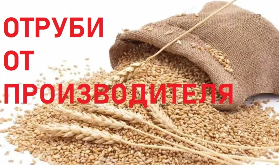 фотография продукта Отруби пшеничные от производителя