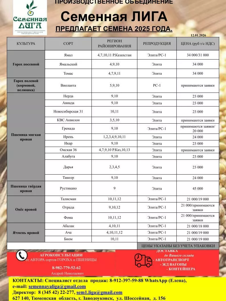 Фотография продукта Семена