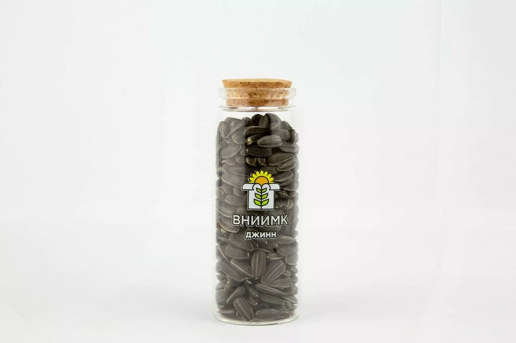 фотография продукта Семена подсолнечника сорт джинн