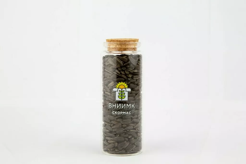 фотография продукта Семена подсолнечника сорт скормас