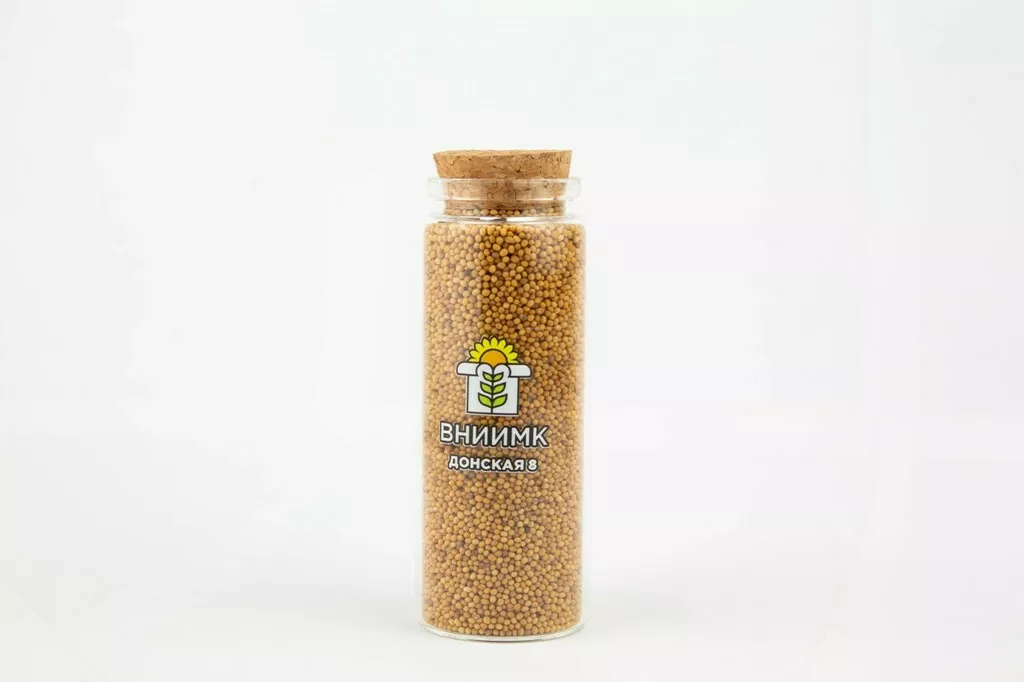 Фотография продукта Семена горчицы сарептской сорт донская 8