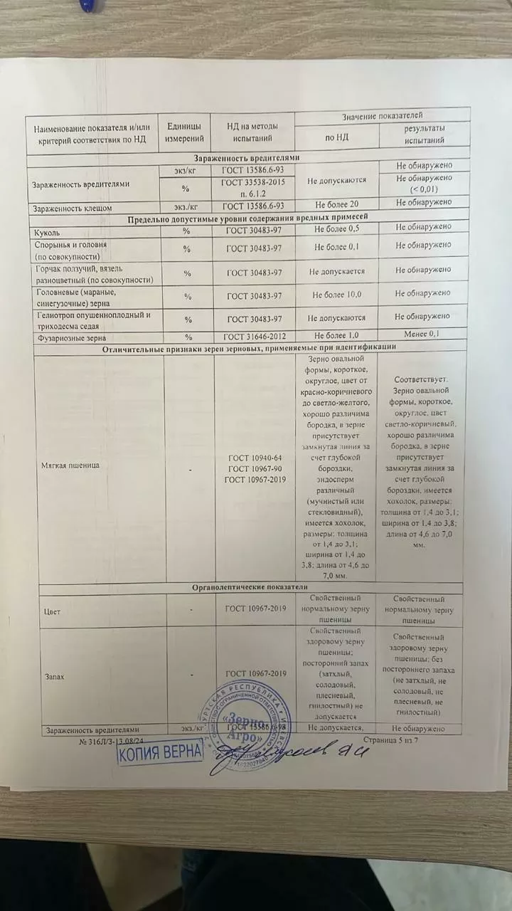 продаём пшеницу 5класса по зпп  в Набережные Челны 7