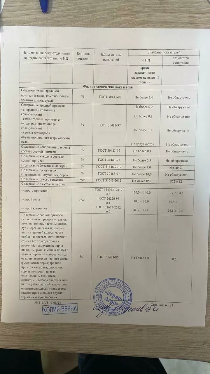 продаём пшеницу 5класса по зпп  в Набережные Челны 4