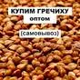 купим гречиху оптом в Орле и Орловской области