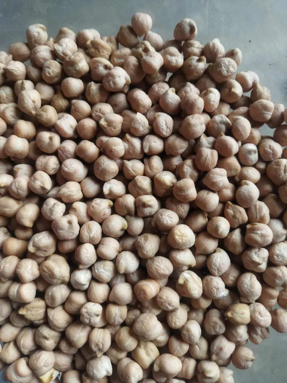 фотография продукта Нут краснодар 