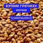 купим гречиху оптом, самовывоз в Калуге и Калужской области
