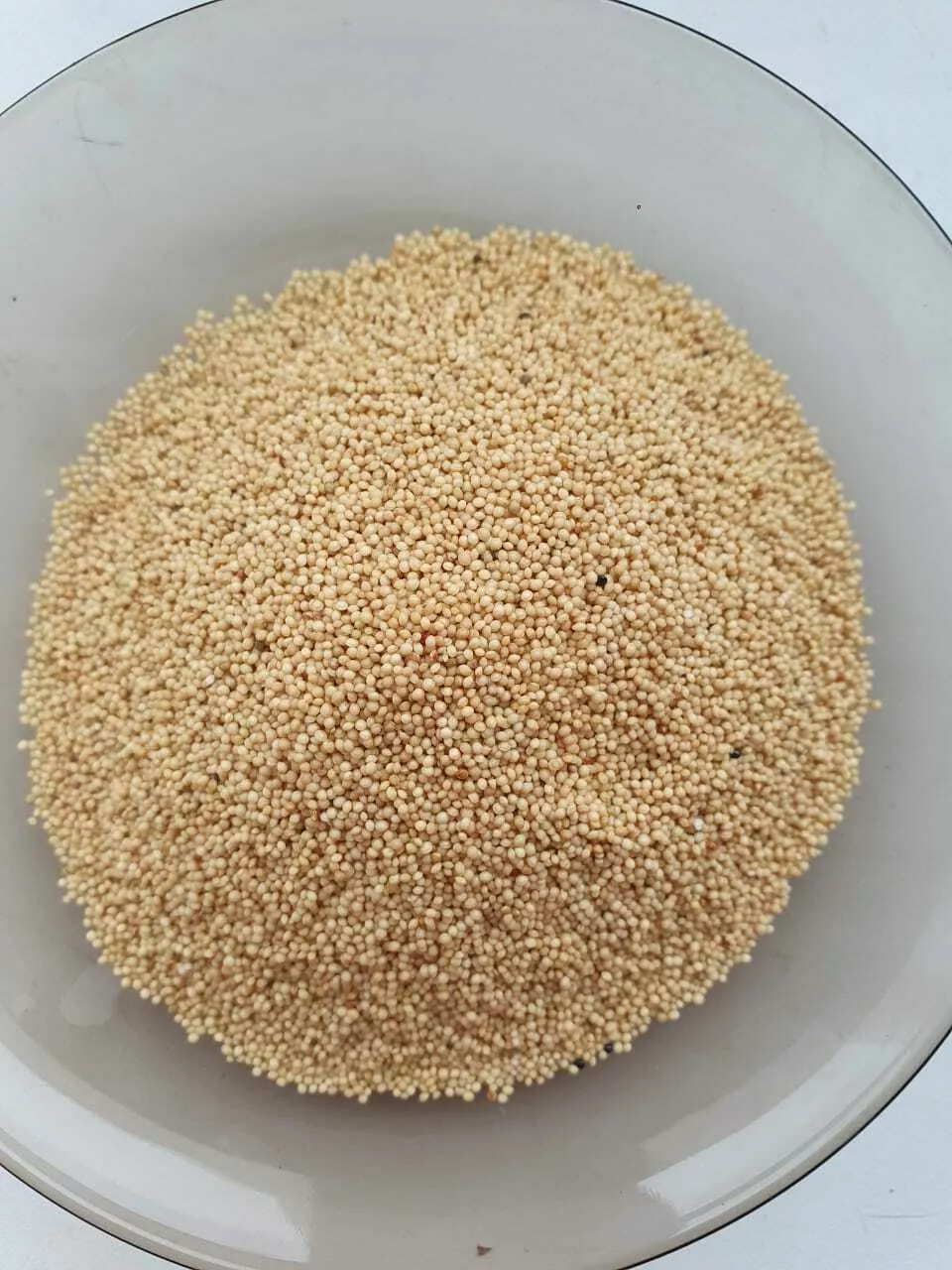 фотография продукта Семена амаранта