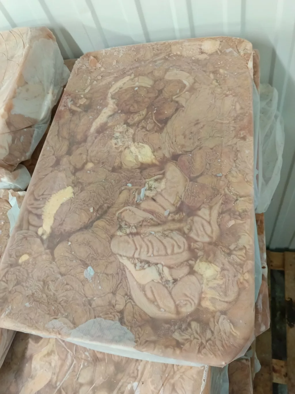 Фотография продукта Корм для собак. требуха конская