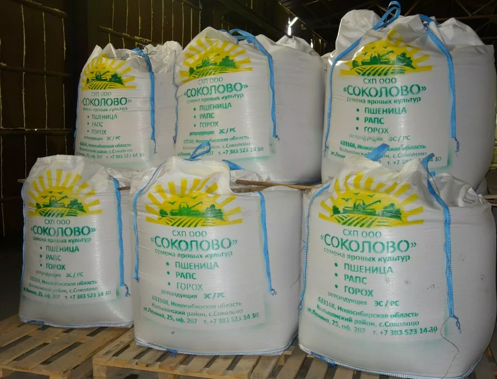 фотография продукта Семена яровой пшеницы новосибирская 31