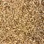 семена яровой пшеницы новосибирская 41 в Новосибирске и Новосибирской области