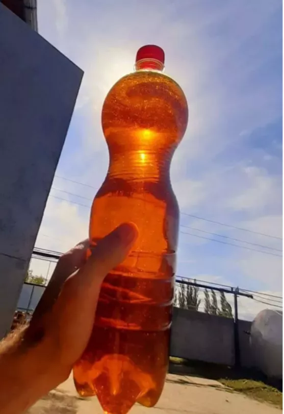 фотография продукта Соевое масло