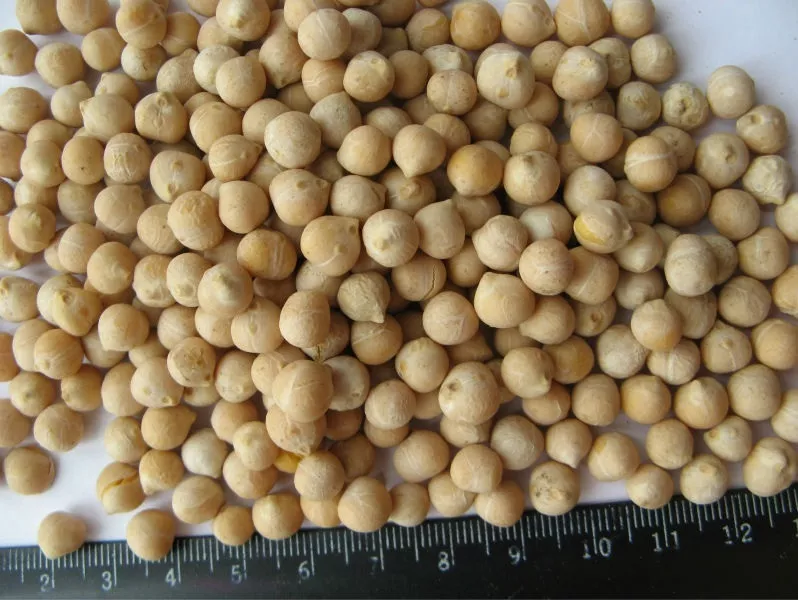 Фотография продукта Chickpeas 7 mm