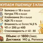 пшеница 3 класс, объем 1.800т/мес в Москве