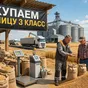 пшеница 3 класс, объем  с доставкой  в России
