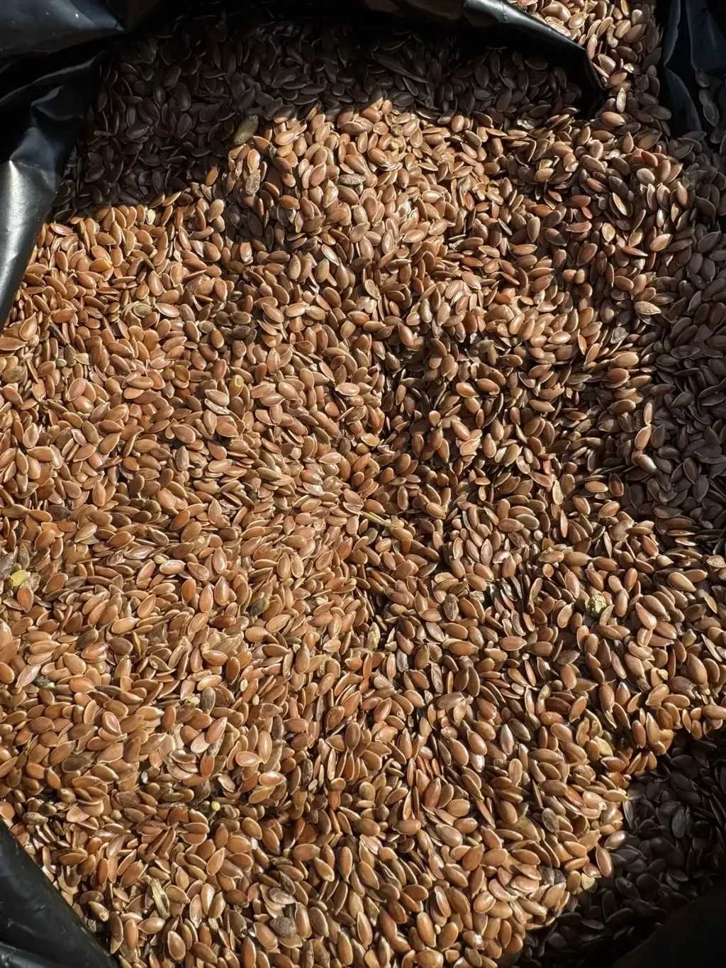 Фотография продукта Лён на экспорт