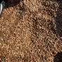 лён на экспорт в Челябинске и Челябинской области