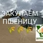 закупаем пшеницу в Краснодаре и Краснодарском крае