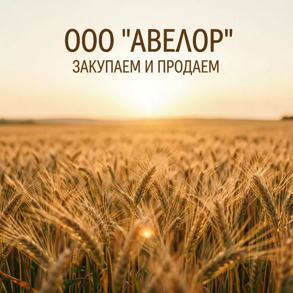 Фотография продукта  вэд-аутсорсинг для стабильных 