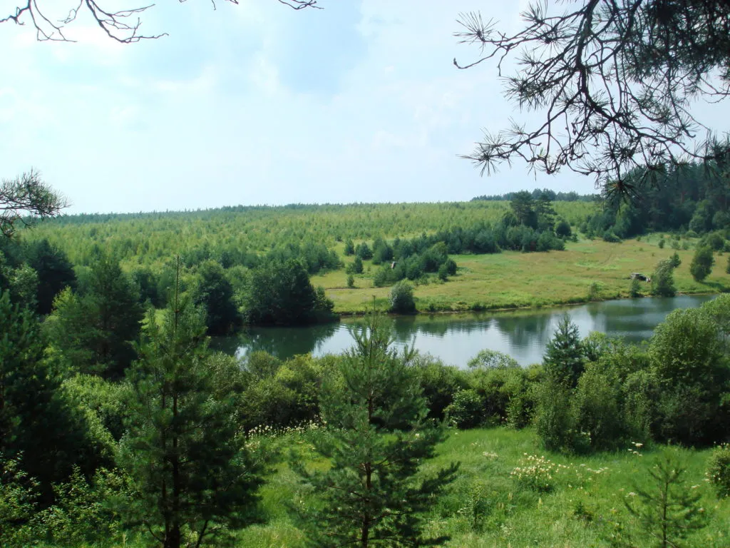  2 Пруда С 37 Га В Лесном Массиве в Нижнем Новгороде 6