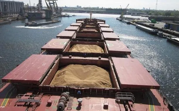 milling Wheat 45 000 tons CIF China в Китае