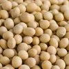 soybeans Cif / Dap China в Китае