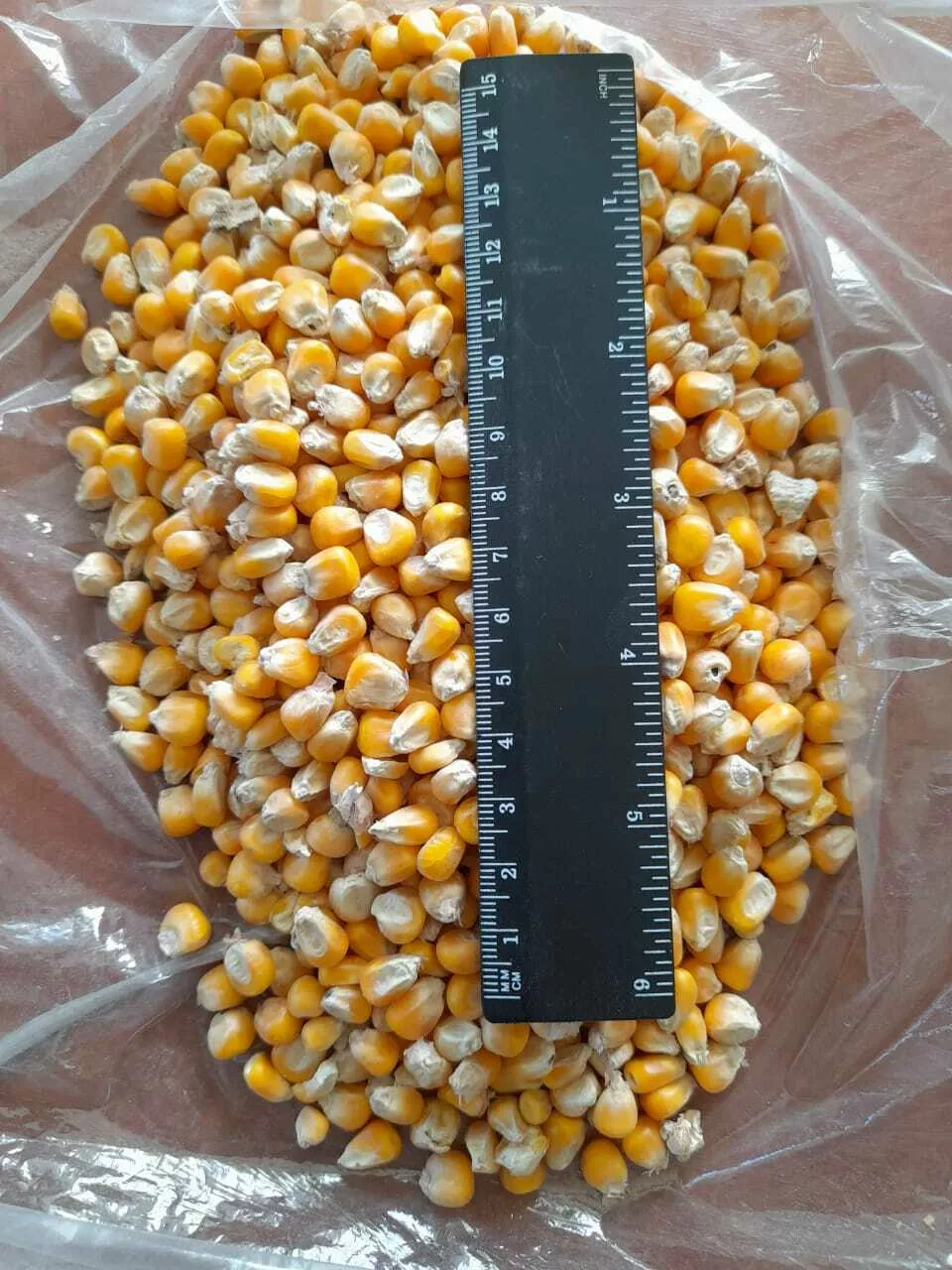 фотография продукта Кукуруза фуражная 20 руб